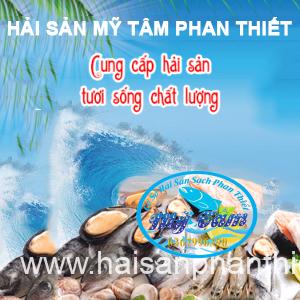 Hai San My Tam Phan Thiet 3