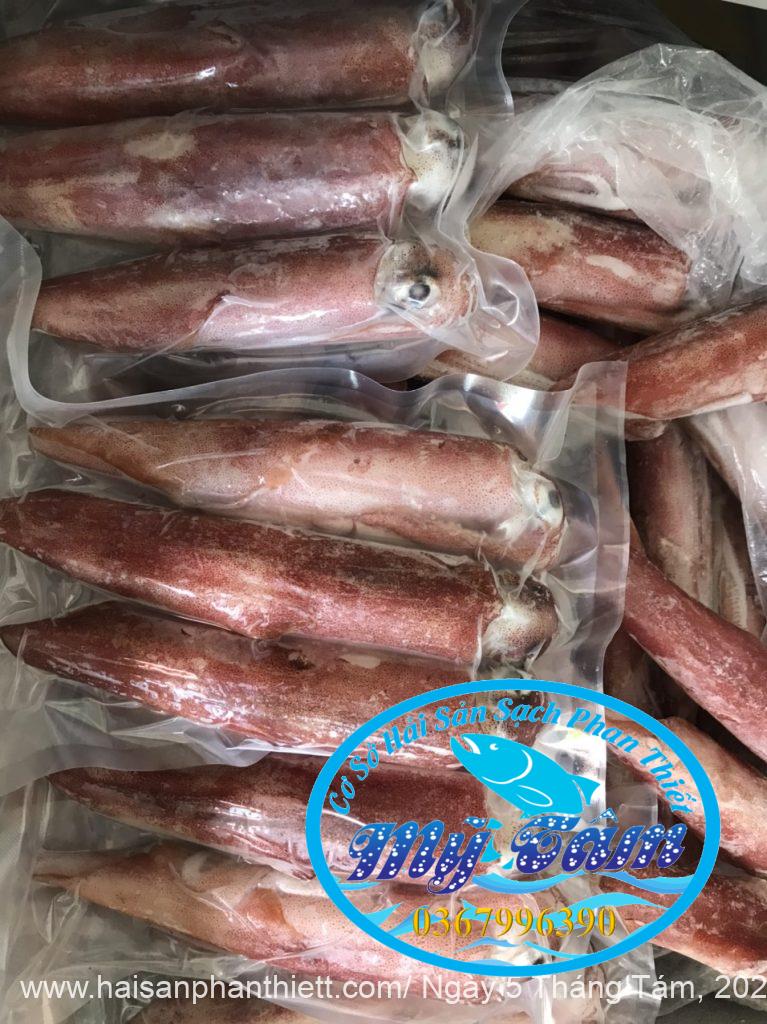Mực ống Giá Sỉ