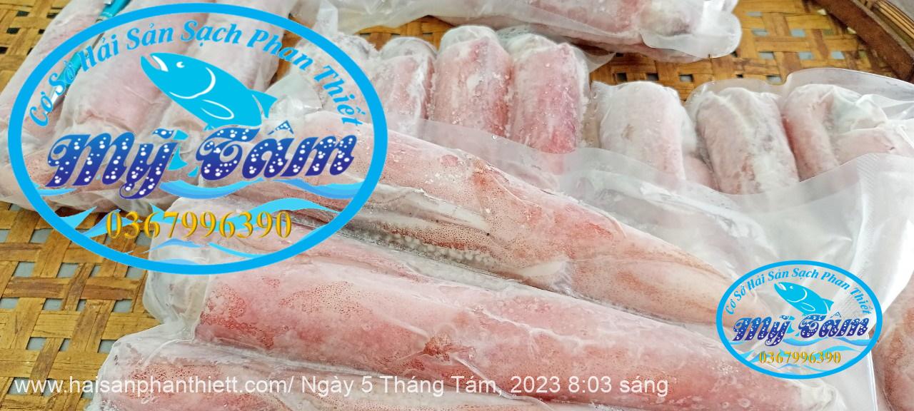 Muc Ong Tuoi Size 20 24 Con Kg Muc Ong Tuoi Size 20 24 Con Kg