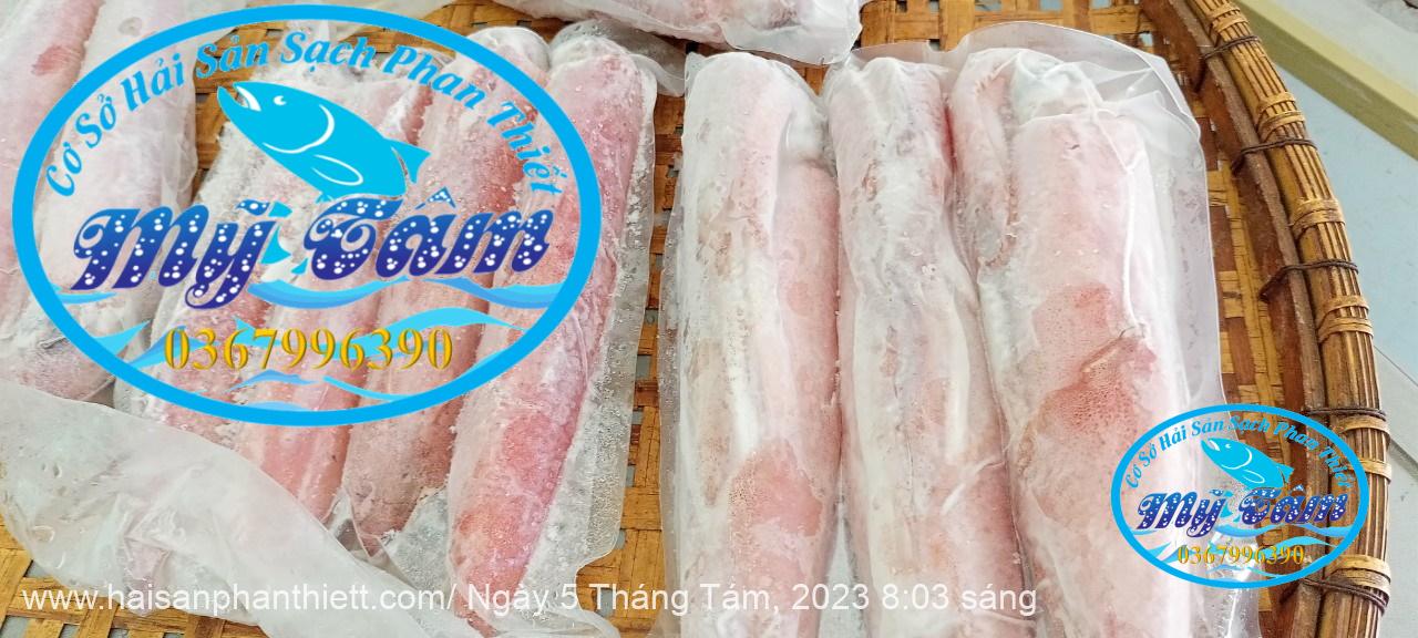 Muc Ong Tuoi Size 20 24 Con Kg Muc Ong Tuoi Size 20 24 Con Kg