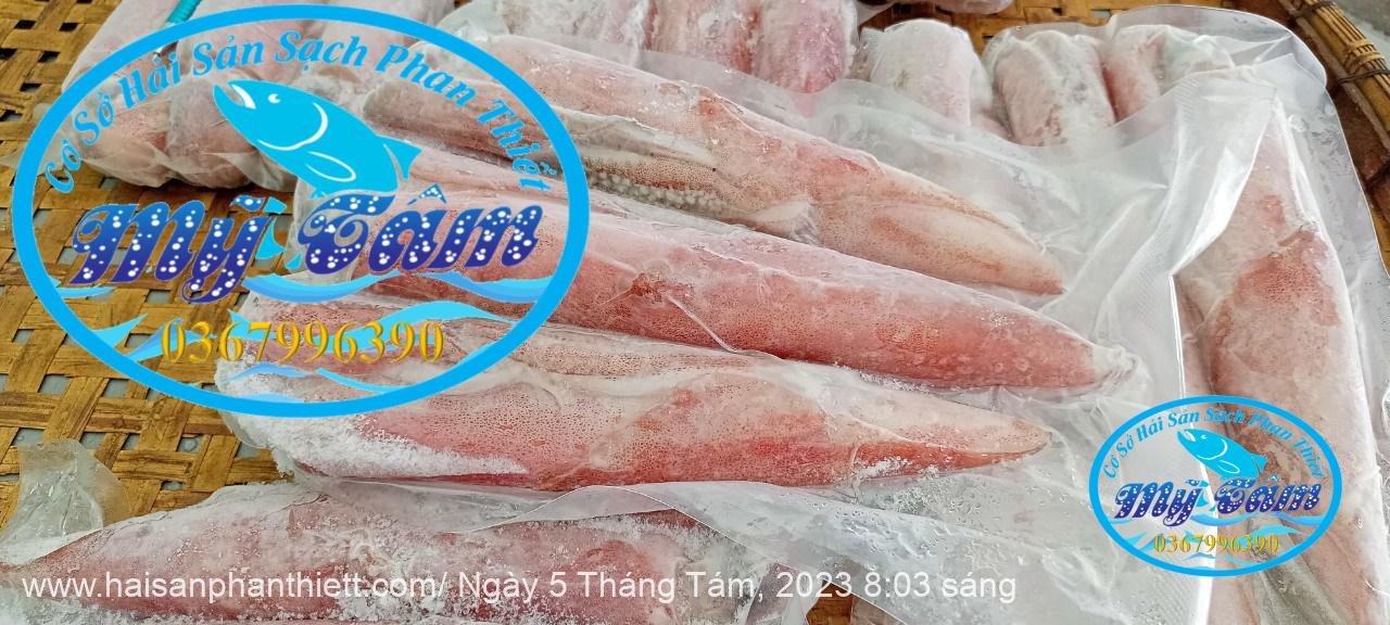 Muc Ong Tuoi Size 20 24 Con Kg Mực ống 1/2 con