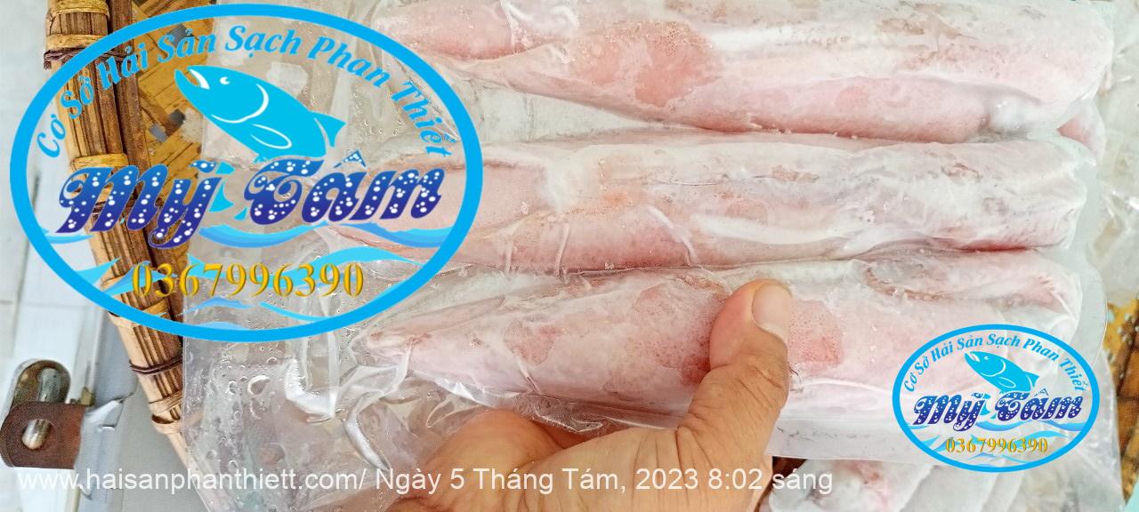 Muc Ong Tuoi Size 20 24 Con Kg Muc Ong Tuoi Size 20 24 Con Kg