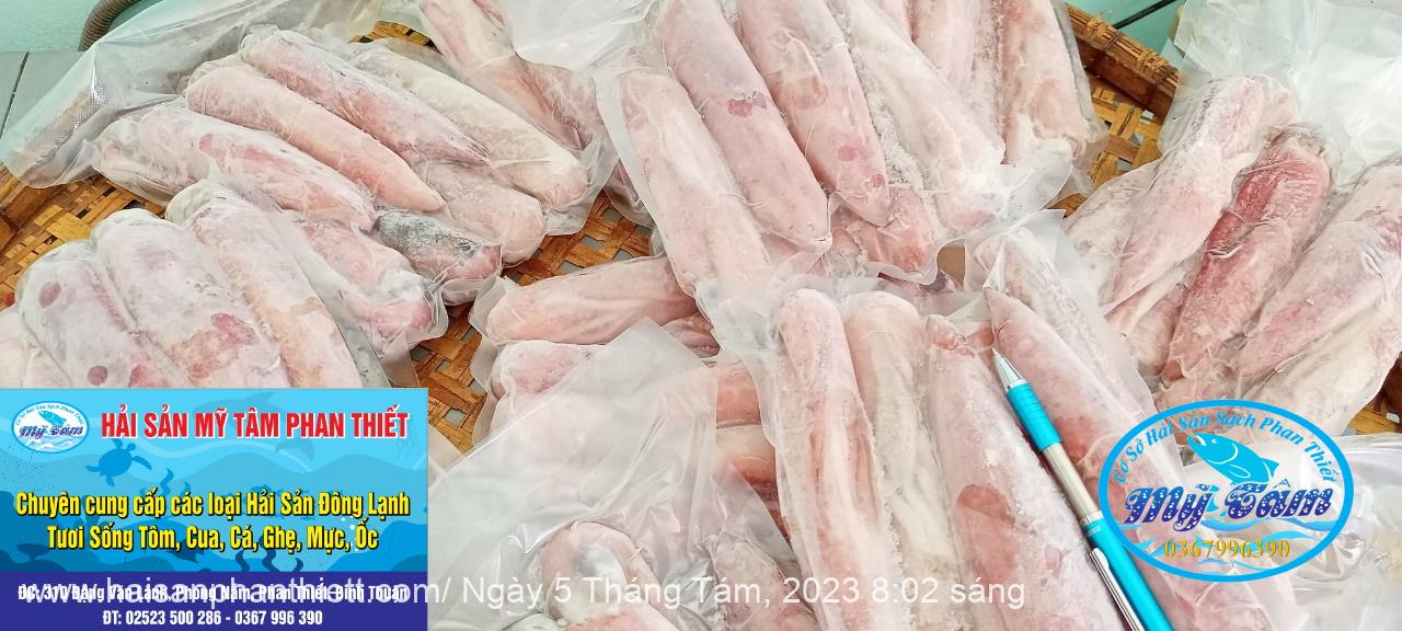 Muc Ong Tuoi Size 5 7 Con Kg Muc Ong Tuoi Size 5 7 Con Kg