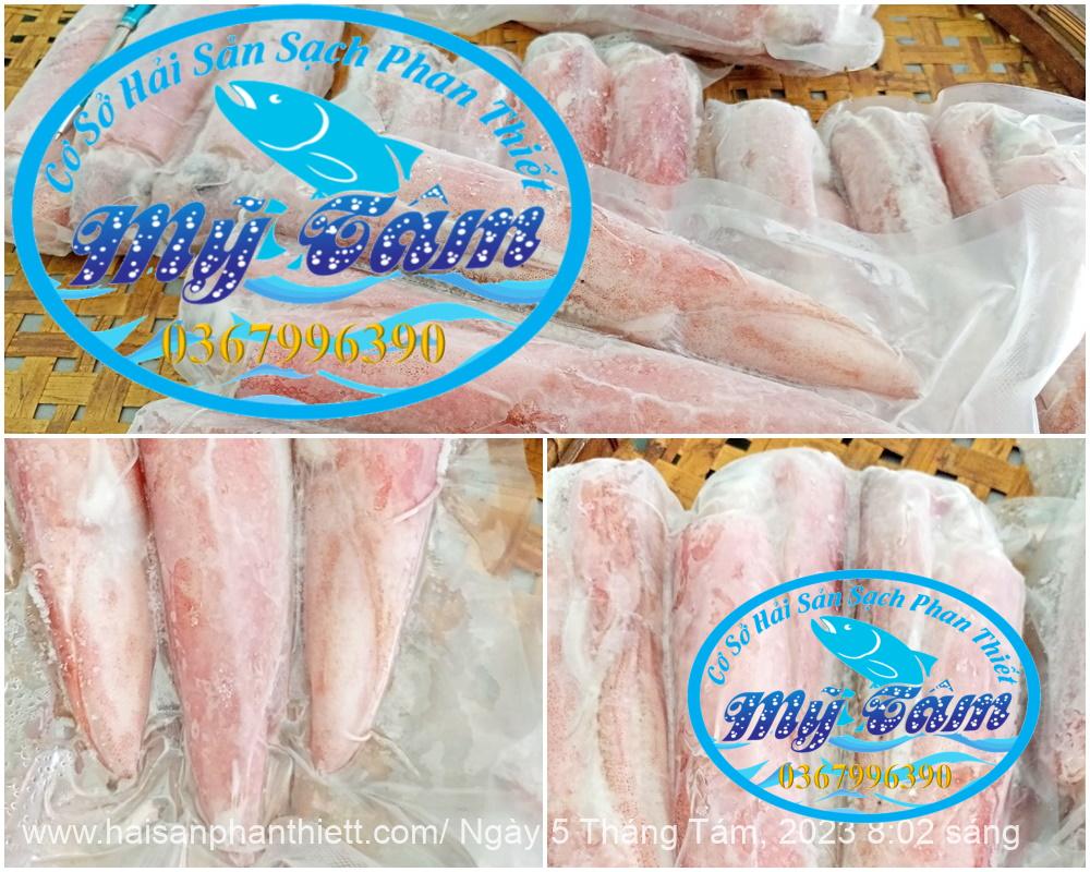 Muc Ong Tuoi Size 20 24 Con Kg Muc Ong Tuoi Size 20 24 Con Kg