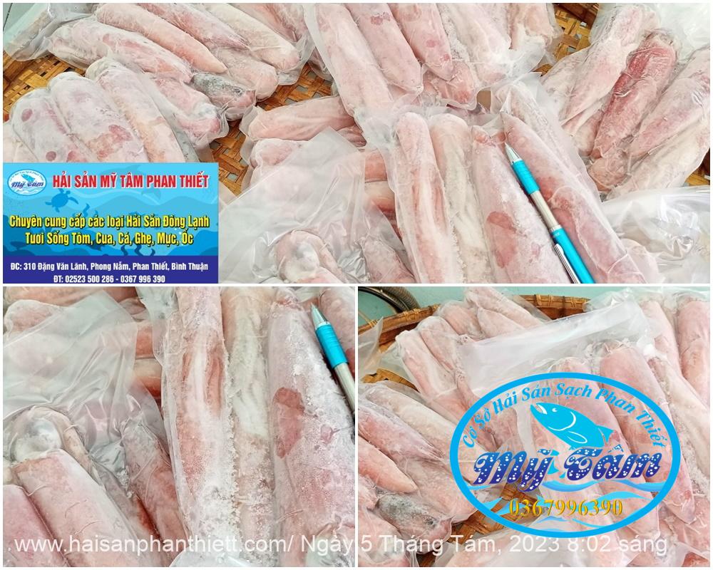 Muc Ong Tuoi Size 5 7 Con Kg Muc Ong Tuoi Size 5 7 Con Kg