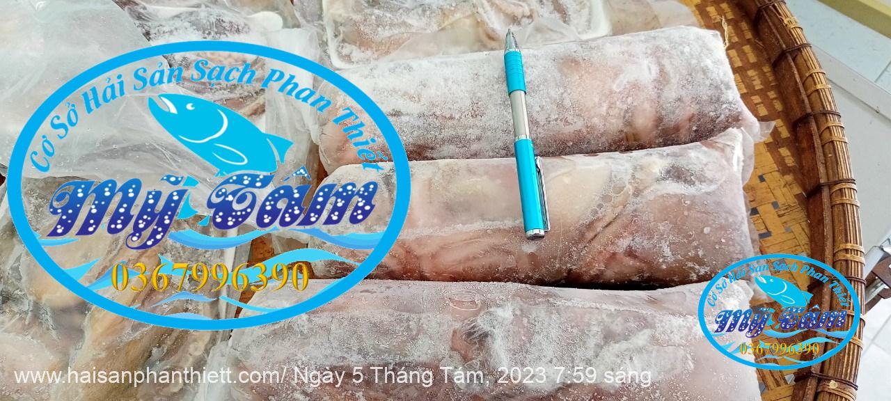 Diem Ban Bach Tuoc Tuoi Phan Thiet Gia Si Va Le Diem Ban Bach Tuoc Tuoi Phan Thiet Gia Si Va Le