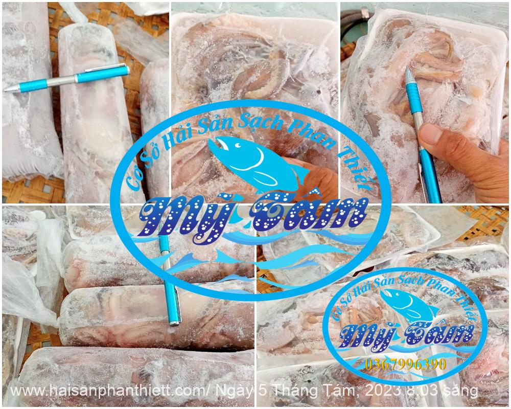 Diem Ban Bach Tuoc Tuoi Phan Thiet Gia Si Va Le bach tuoc