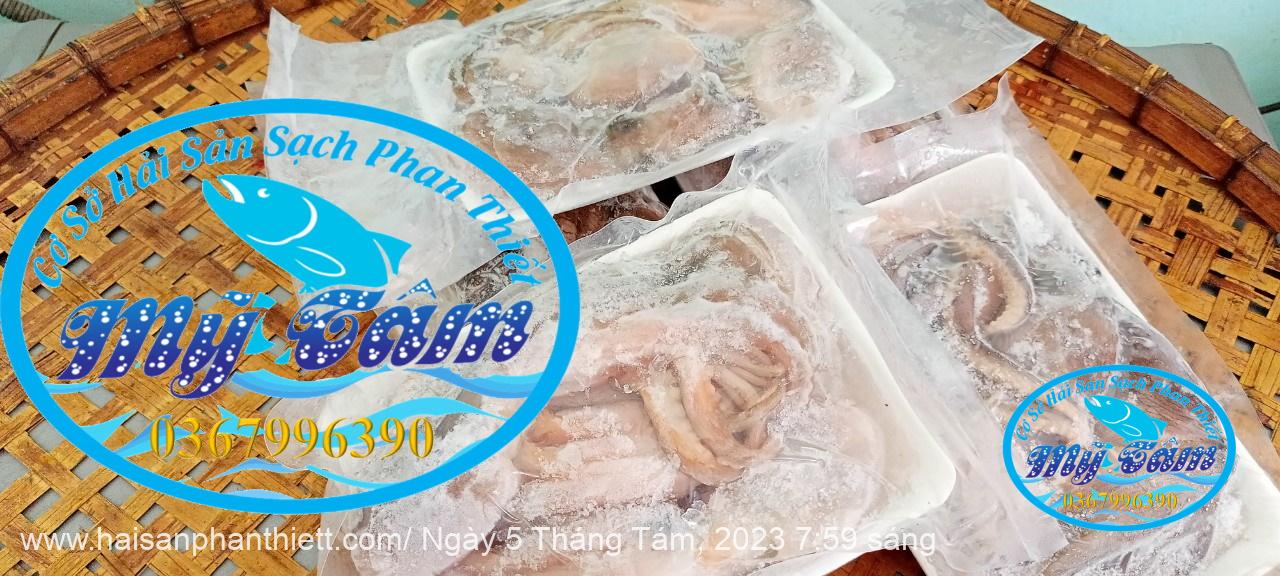 Diem Ban Bach Tuoc Tuoi Phan Thiet Gia Si Va Le Diem Ban Bach Tuoc Tuoi Phan Thiet Gia Si Va Le