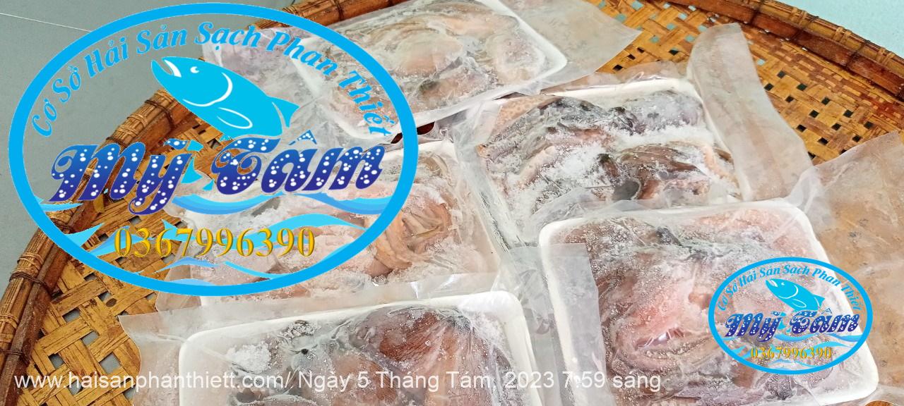 Diem Ban Bach Tuoc Tuoi Phan Thiet Gia Si Va Le Diem Ban Bach Tuoc Tuoi Phan Thiet Gia Si Va Le