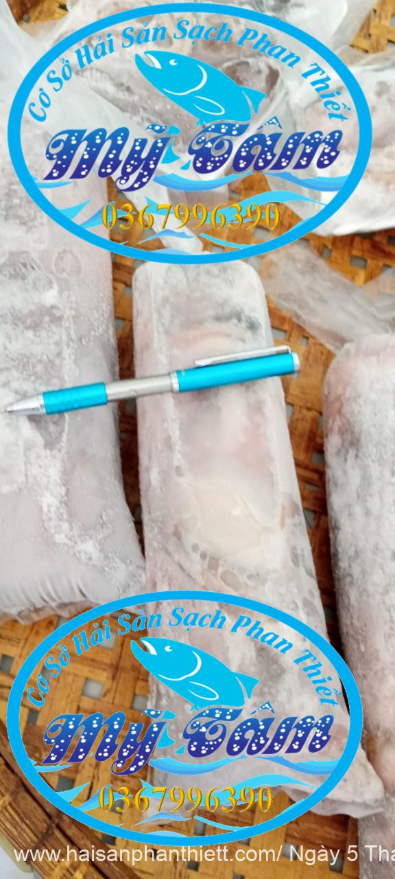 Diem Ban Bach Tuoc Tuoi Phan Thiet Gia Si Va Le Diem Ban Bach Tuoc Tuoi Phan Thiet Gia Si Va Le