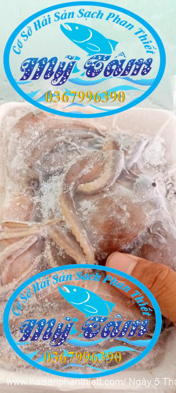 Diem Ban Bach Tuoc Tuoi Phan Thiet Gia Si Va Le Diem Ban Bach Tuoc Tuoi Phan Thiet Gia Si Va Le