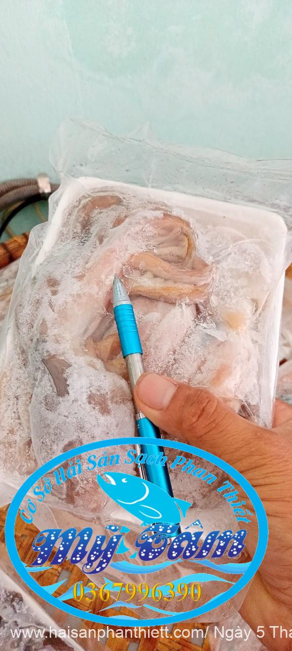 Bach Tuoc Tuoi Phan Thiet Gia Si Va Le Bach Tuoc Tuoi Phan Thiet Gia Si Va Le