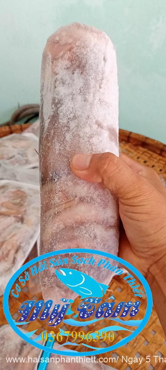 Bach Tuoc Tuoi Phan Thiet Gia Si Va Le Bach Tuoc Tuoi Phan Thiet Gia Si Va Le