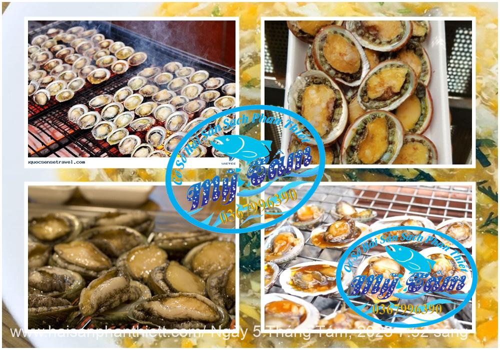 Bau Ngu Phan Thiet Cap Dong Gia Si Bau Ngu Phan Thiet Cap Dong Gia Si