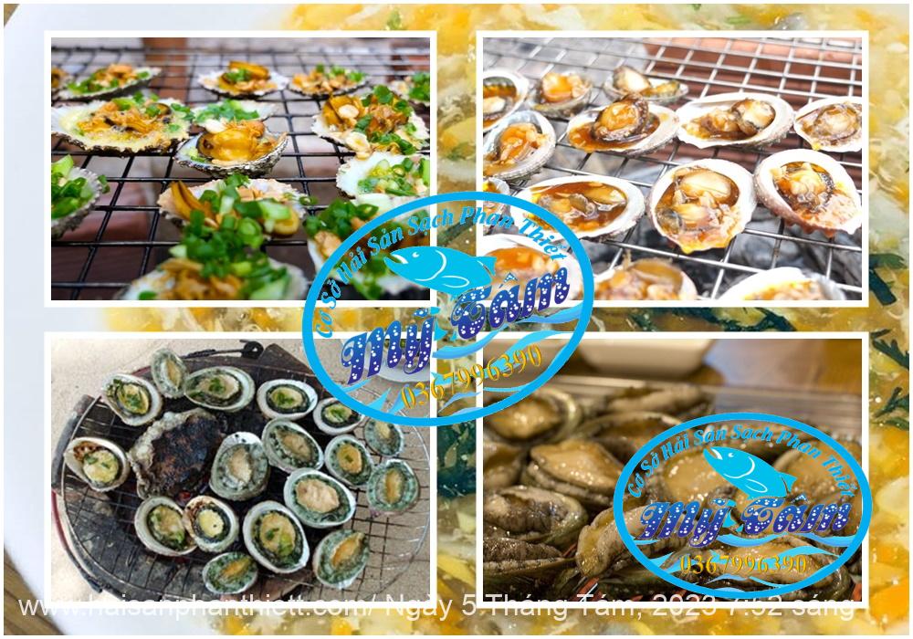 Bau Ngu Phan Thiet Cap Dong Gia Si Bau Ngu Phan Thiet Cap Dong Gia Si