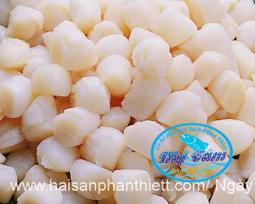 Coi So Diep (1) Coi So Diep (1)