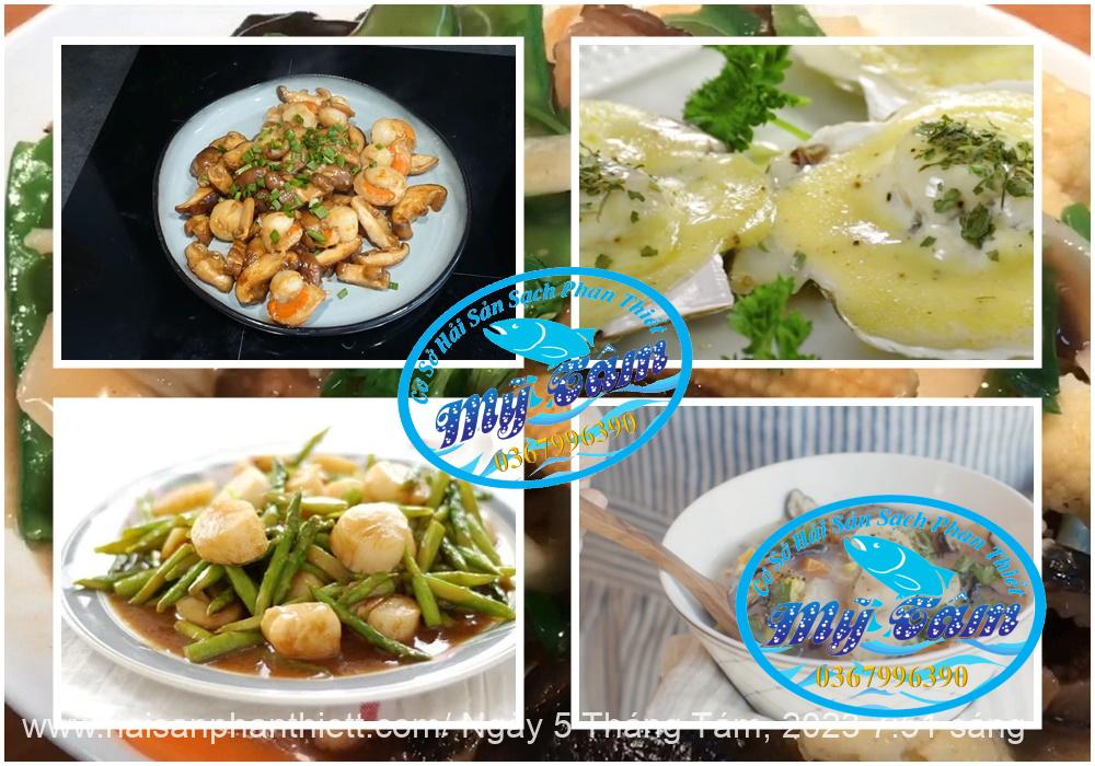 Coi So Diep Tuoi Cap Dong Lanh Coi So Diep Tuoi Cap Dong Lanh