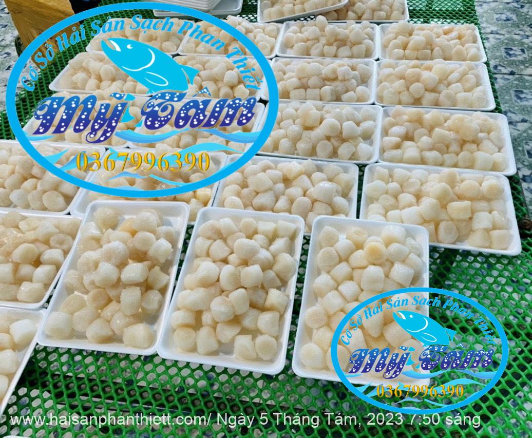 Coi So Diep Tuoi Cap Dong Lanh Coi So Diep Tuoi Cap Dong Lanh