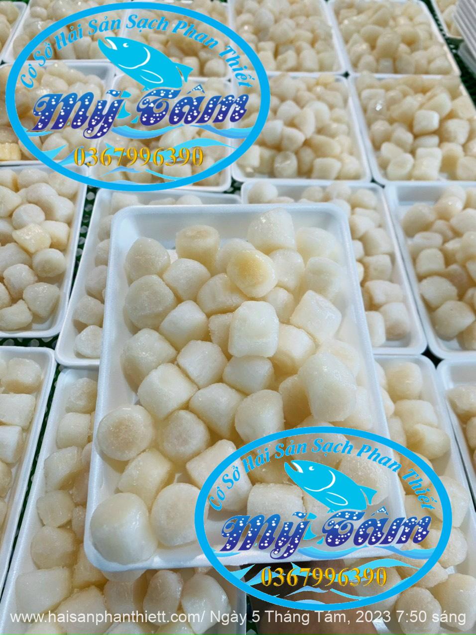 Coi So Diep Tuoi Cap Dong Lanh Coi So Diep Tuoi Cap Dong Lanh