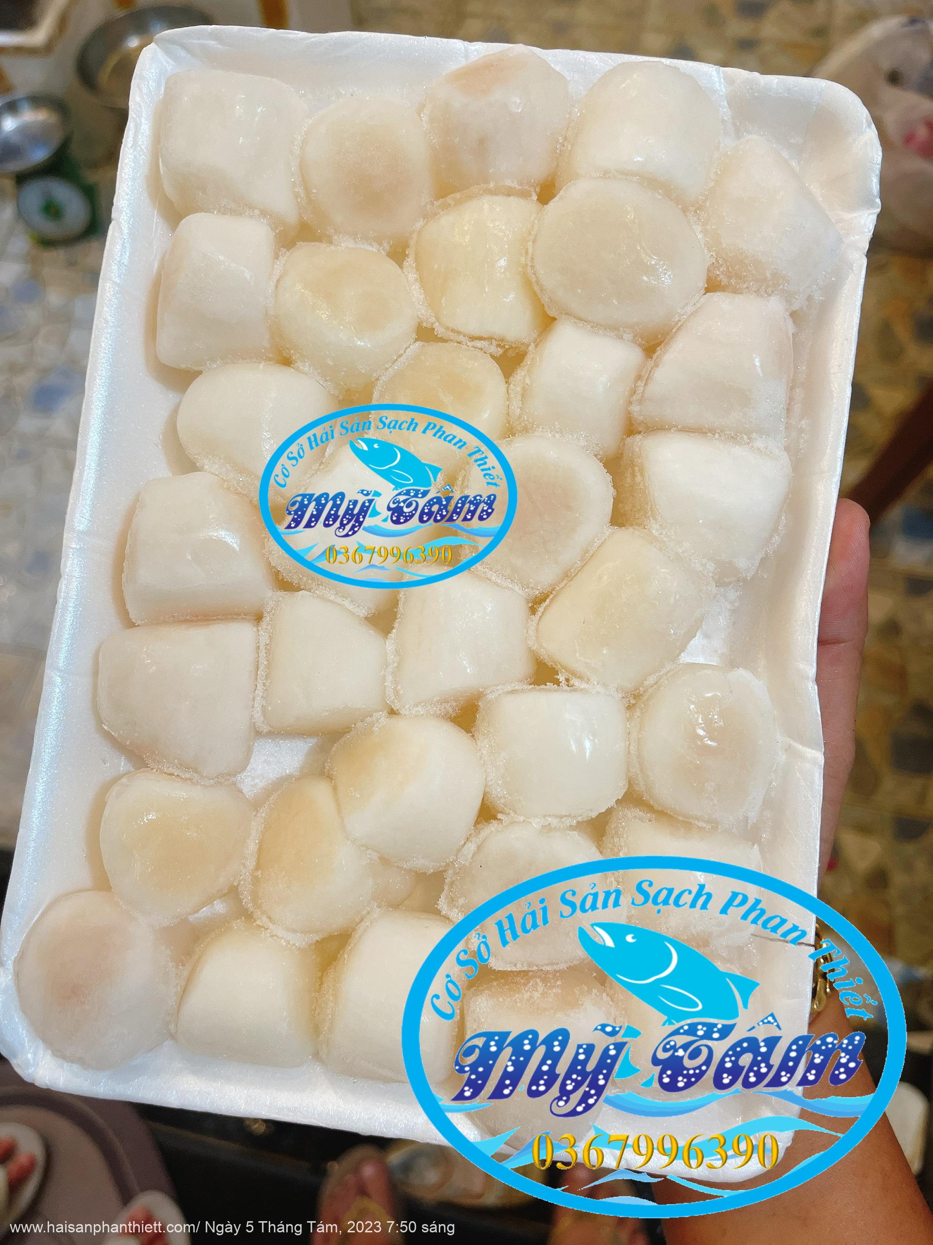 Coi So Diep Tuoi Cap Dong Lanh Coi So Diep Tuoi Cap Dong Lanh