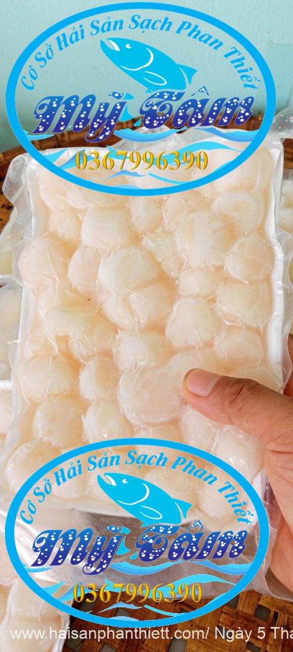 Coi So Diep Tuoi Cap Dong Lanh Coi So Diep Tuoi Cap Dong Lanh