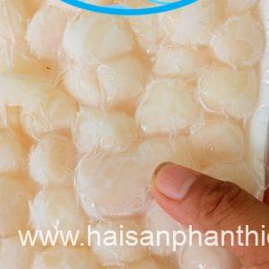 Coi So Diep Tuoi Cap Dong Lanh