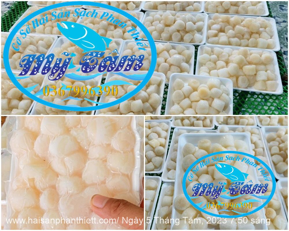 Coi So Diep Tuoi Cap Dong Lanh Coi So Diep Tuoi Cap Dong Lanh