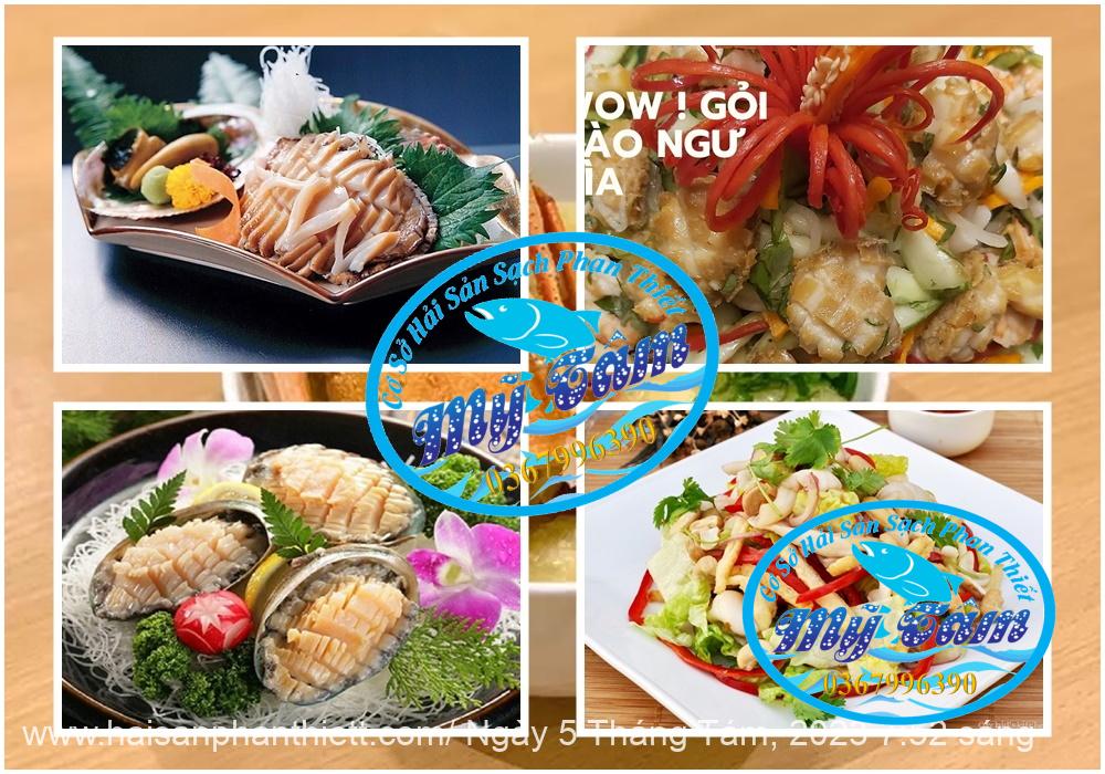 Bau Ngu Phan Thiet Cap Dong Gia Si Bau Ngu Phan Thiet Cap Dong Gia Si