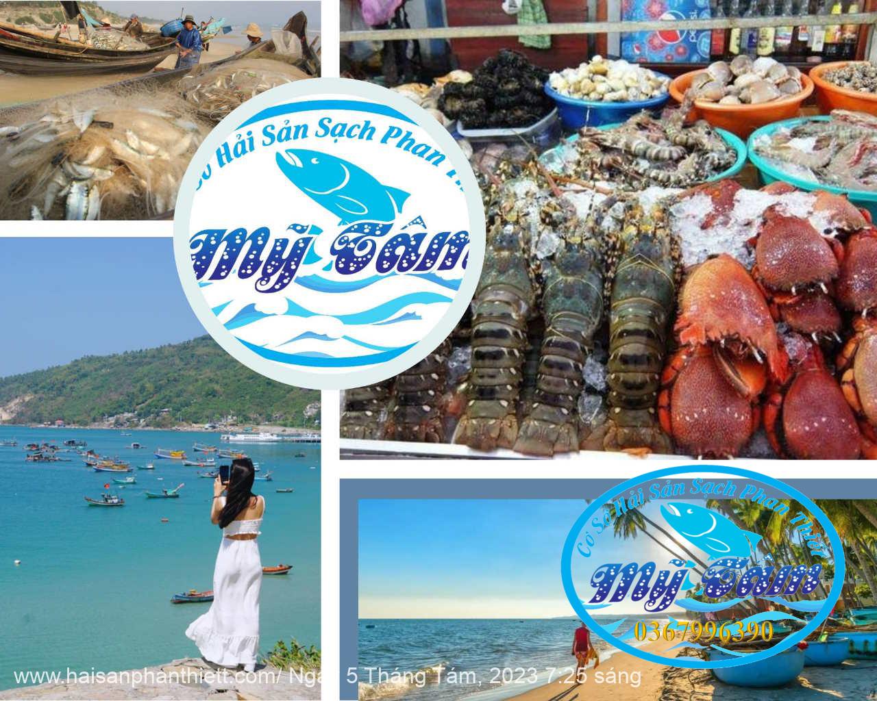 Hai San Phan Thiet2 Hai San Phan Thiet2