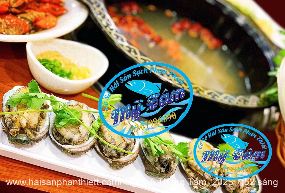 Bau Ngu Phan Thiet Cap Dong Gia Si Bau Ngu Phan Thiet Cap Dong Gia Si