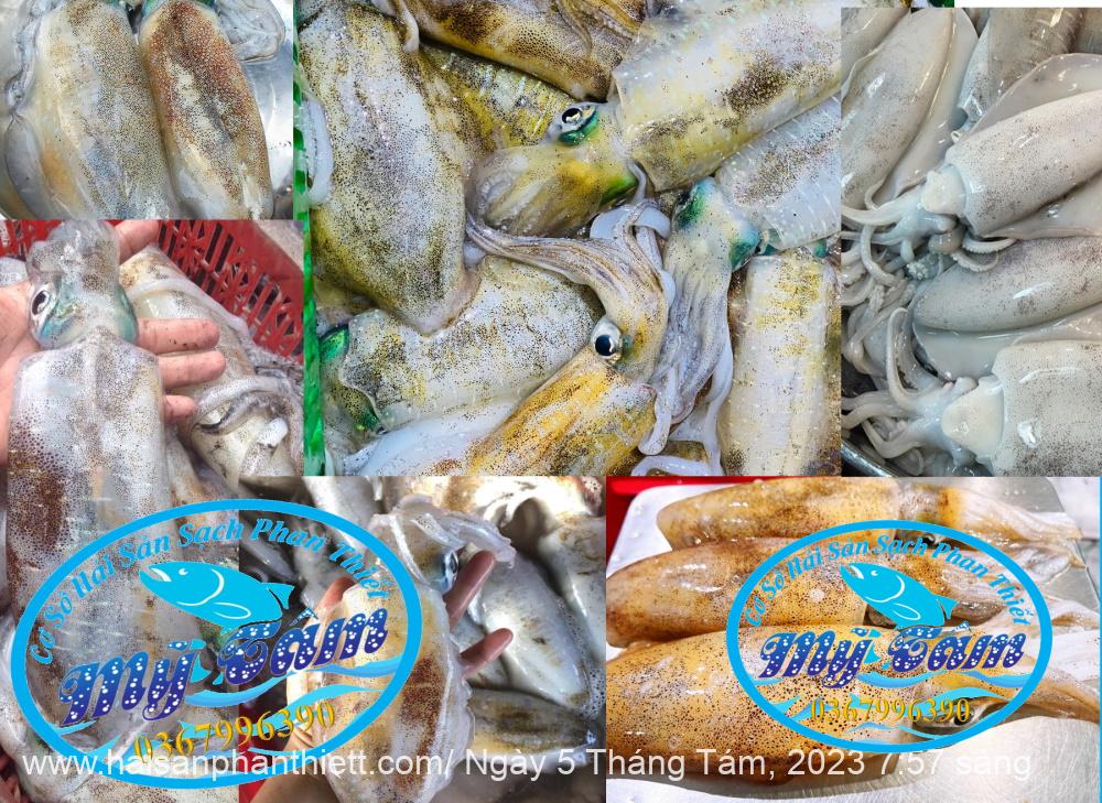 Muc La 1 Nang 1 2 Con 1kg Muc La 1 Nang 1 2 Con 1kg