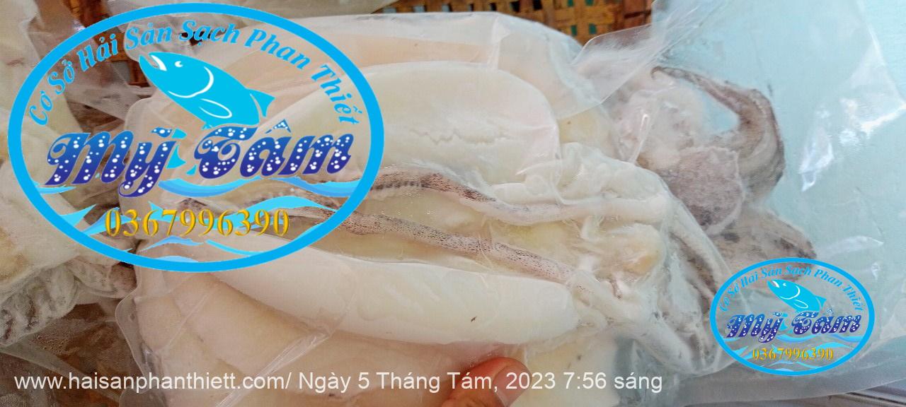 Mực 1 nắng (mực lá size 2 con)