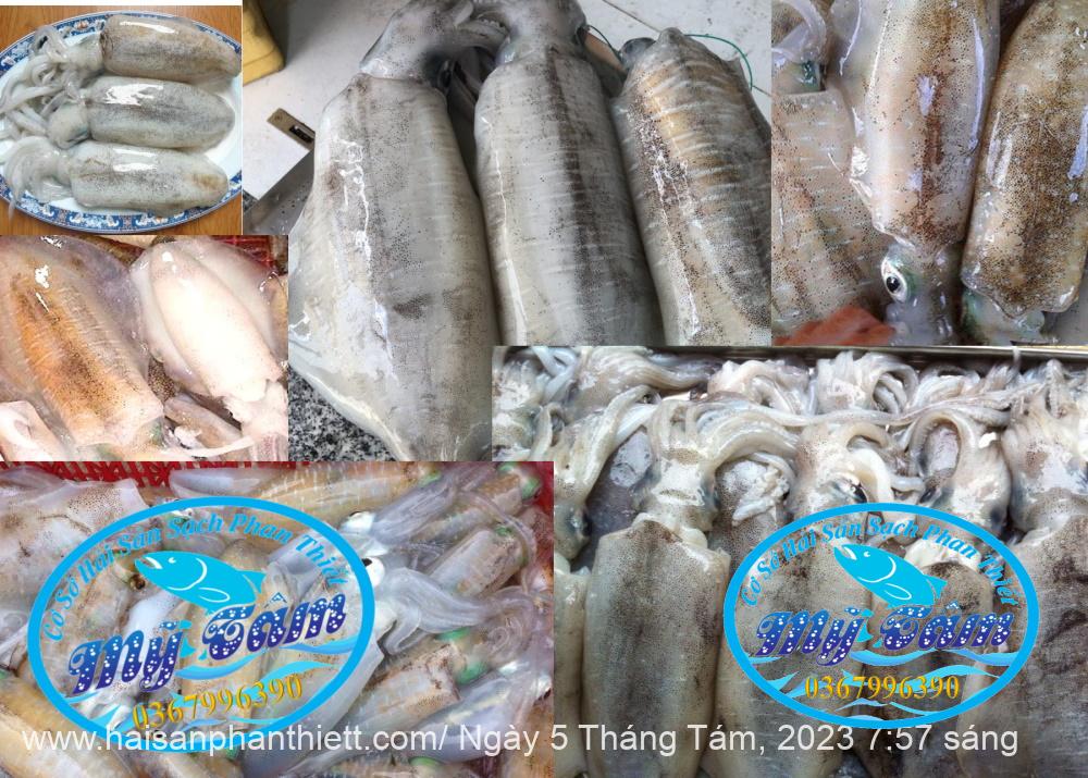 Muc La Tuoi Dong Lanh 3 Con 1kg