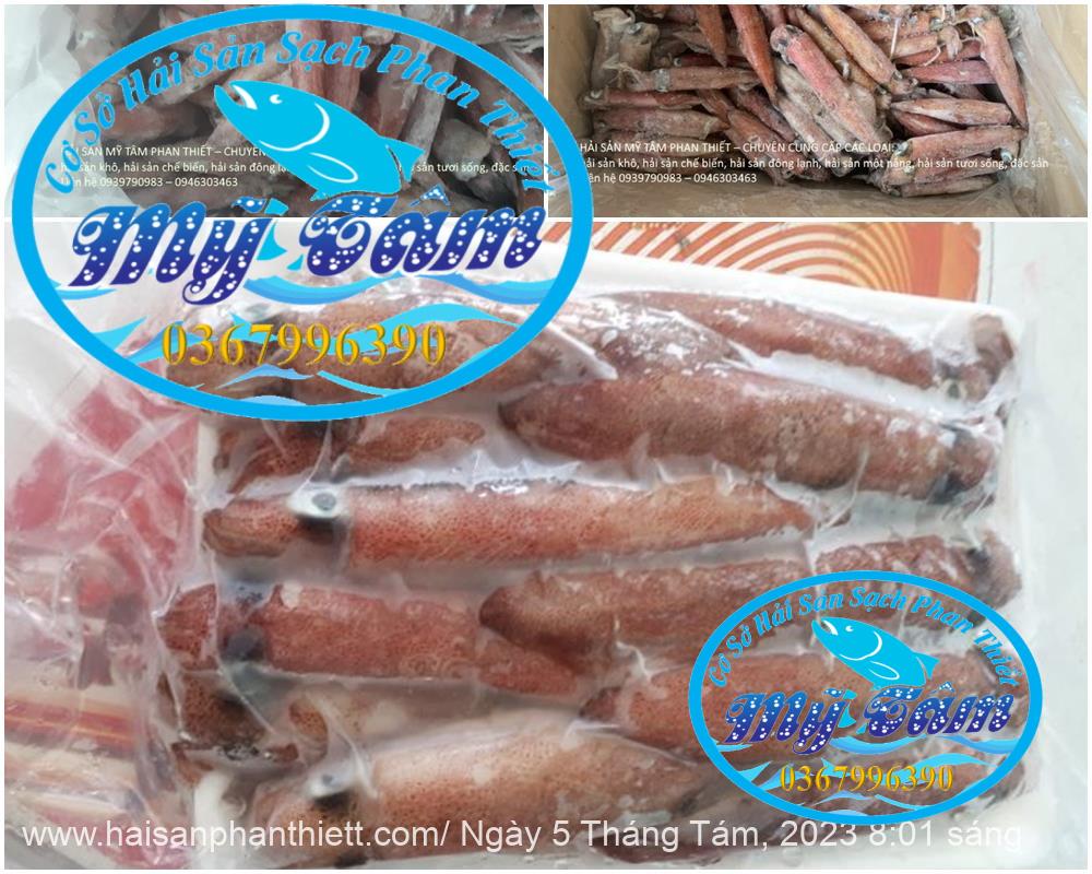 Muc Ong Tuoi Size 20 24 Con Kg Muc Ong Tuoi Size 20 24 Con Kg