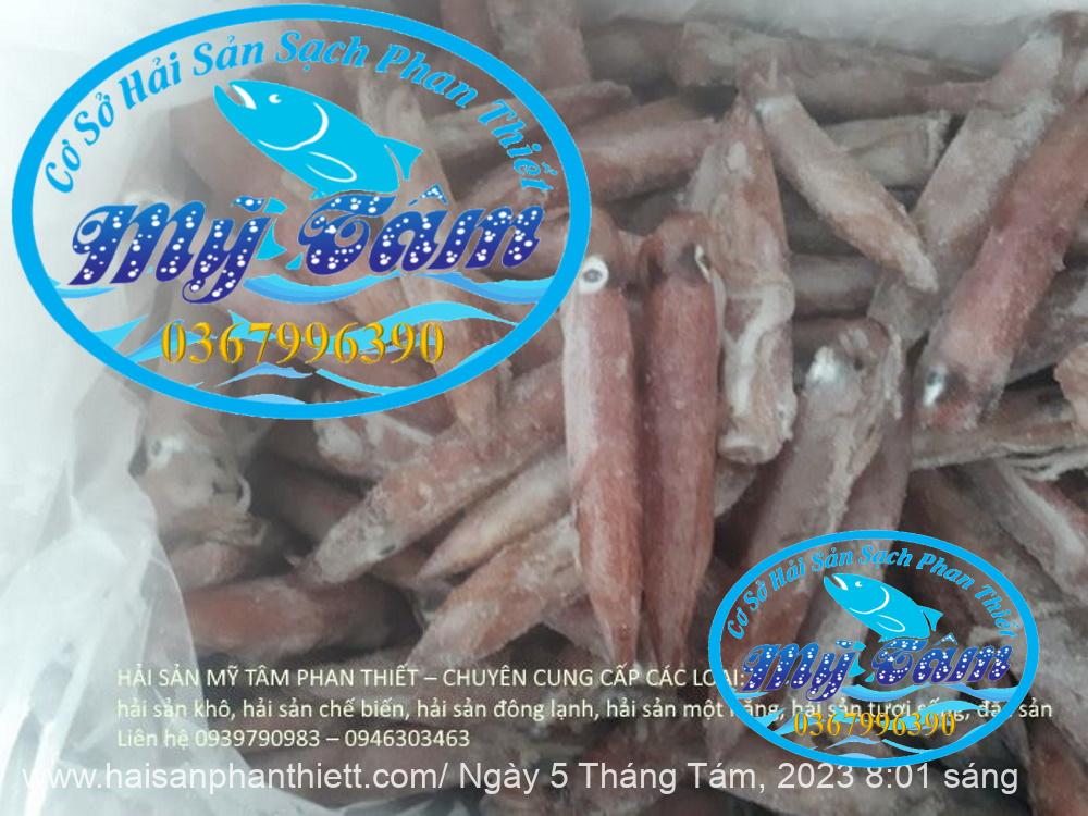 Muc Ong Tuoi Size 20 24 Con Kg Muc Ong Tuoi Size 20 24 Con Kg