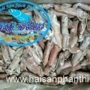 Muc Ong Tuoi Size 20 24 Con Kg