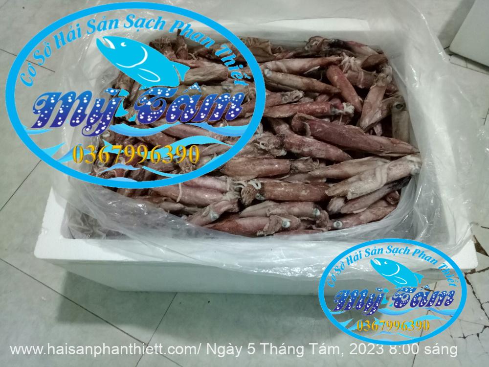 Muc Ong Tuoi Size 20 24 Con Kg Muc Ong Tuoi Size 20 24 Con Kg