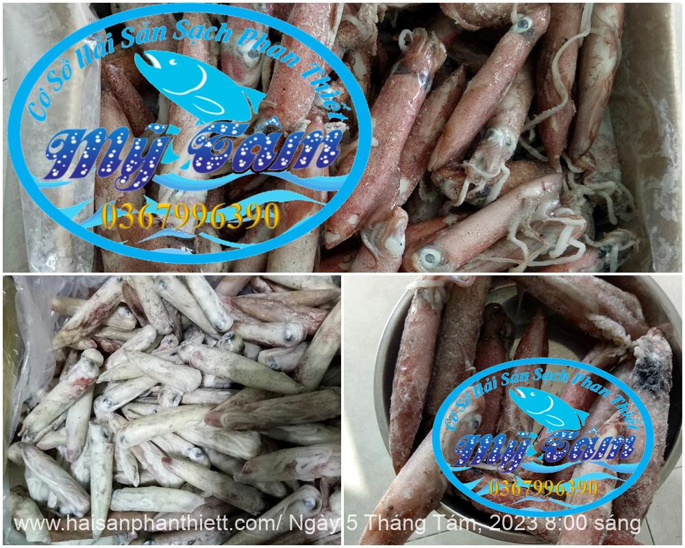 Muc Ong Tuoi Size 20 24 Con Kg Muc Ong Tuoi Size 20 24 Con Kg