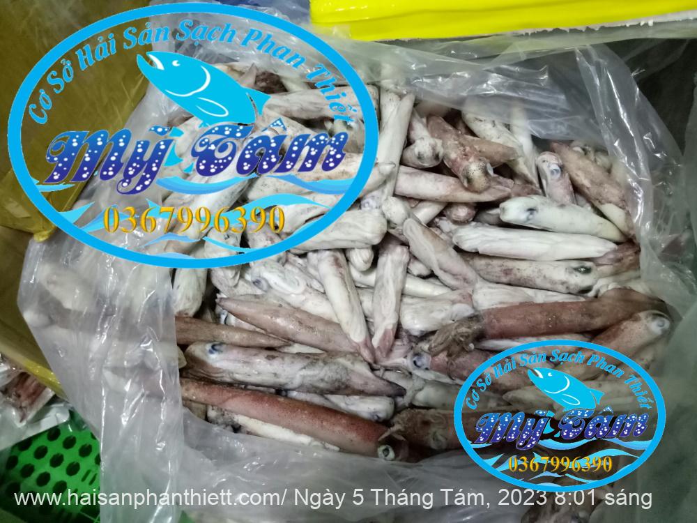 Muc Ong Tuoi Size 20 24 Con Kg Muc Ong Tuoi Size 20 24 Con Kg