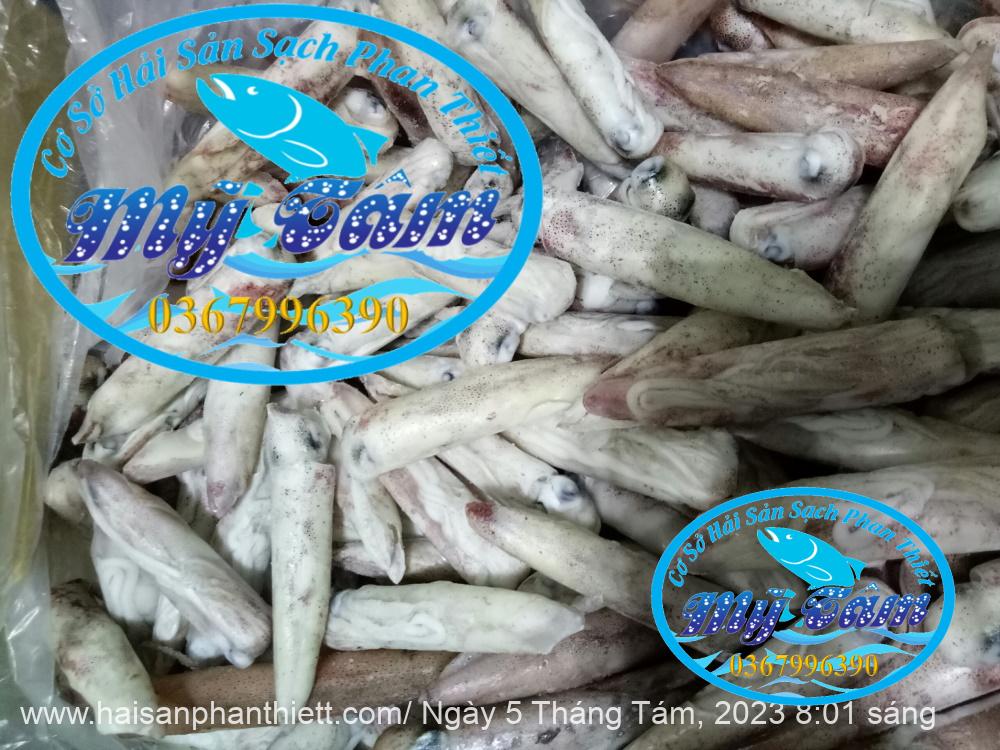 Muc Ong Tuoi Size 20 24 Con Kg Muc Ong Tuoi Size 20 24 Con Kg