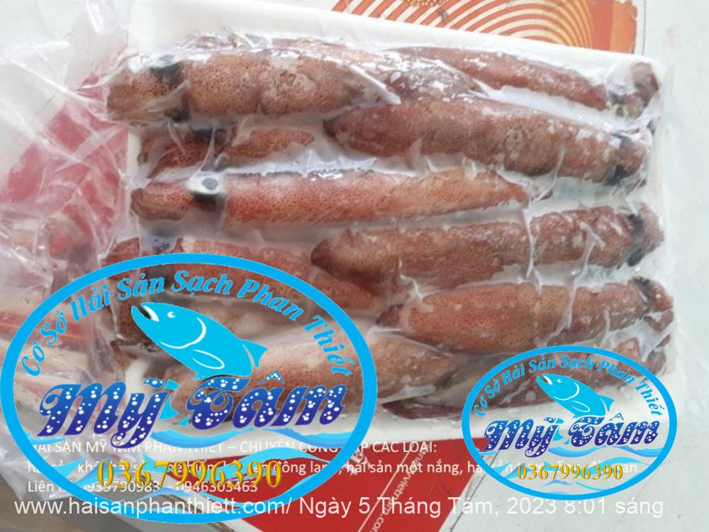 Muc Ong Tuoi Size 20 24 Con Kg Muc Ong Tuoi Size 20 24 Con Kg