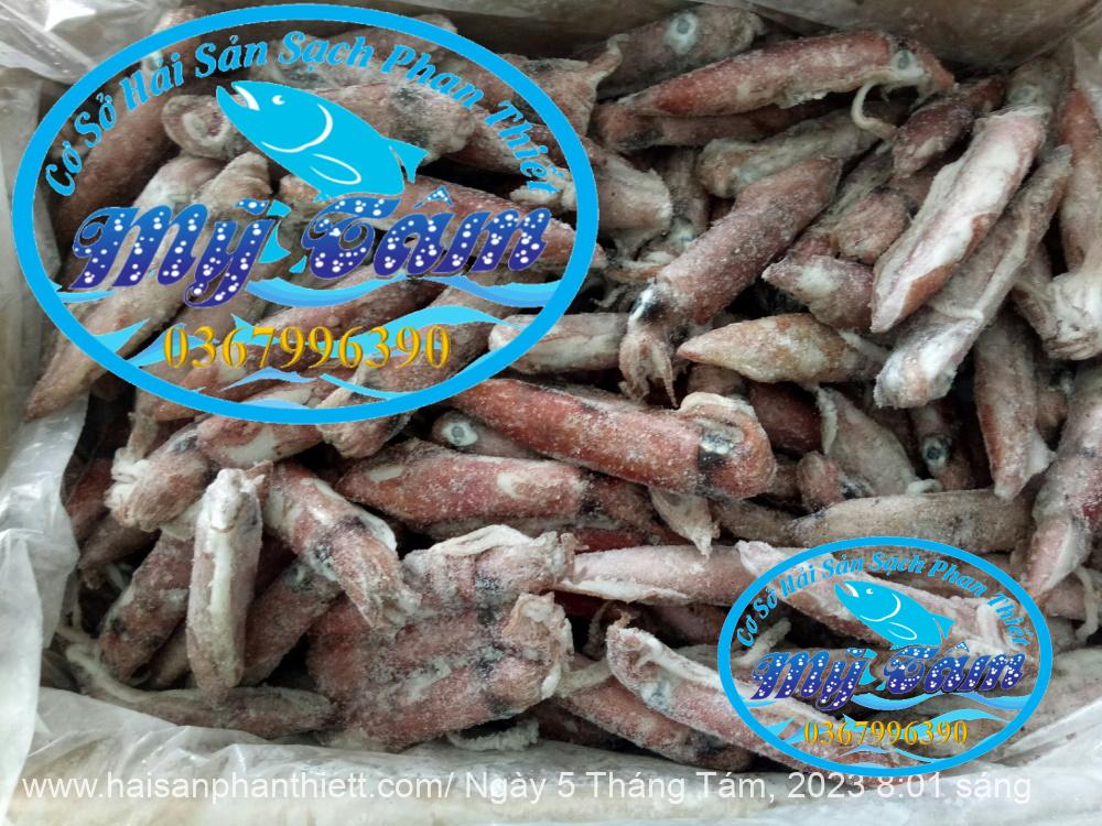 Muc Ong Tuoi Size 20 24 Con Kg Muc Ong Tuoi Size 20 24 Con Kg