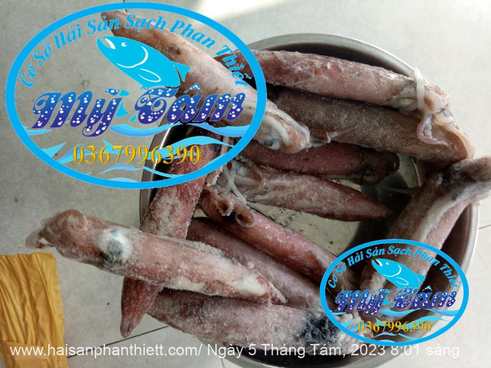 Muc Ong Tuoi Size 20 24 Con Kg Muc Ong Tuoi Size 20 24 Con Kg