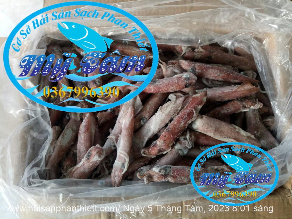 Muc Ong Tuoi Size 20 24 Con Kg Muc Ong Tuoi Size 20 24 Con Kg