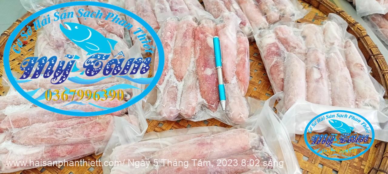 Muc Ong Tuoi Size 8 10 Con Kg Muc Ong Tuoi Size 8 10 Con Kg