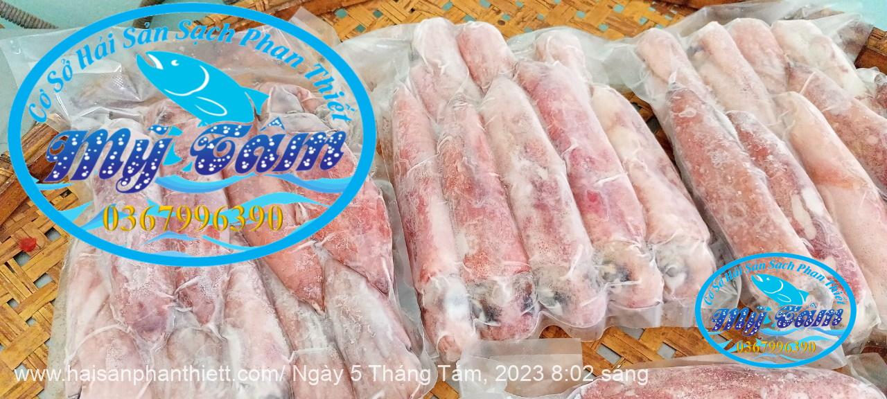 Muc Ong Tuoi Size 8 10 Con Kg