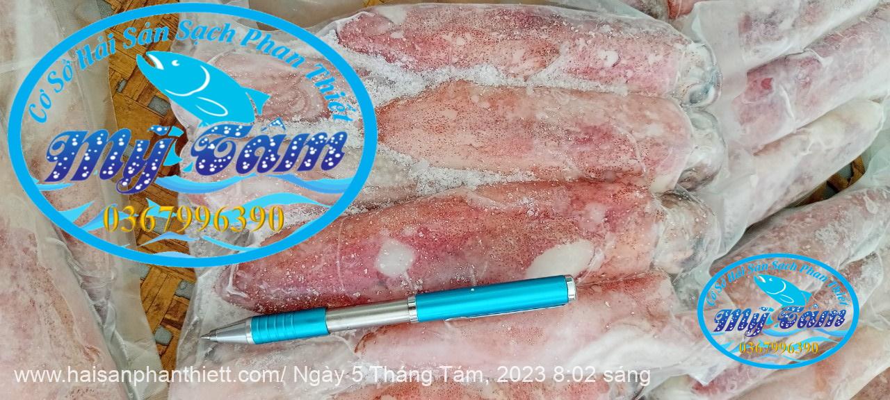 Muc Ong Tuoi Size 8 10 Con Kg Muc Ong Tuoi Size 8 10 Con Kg