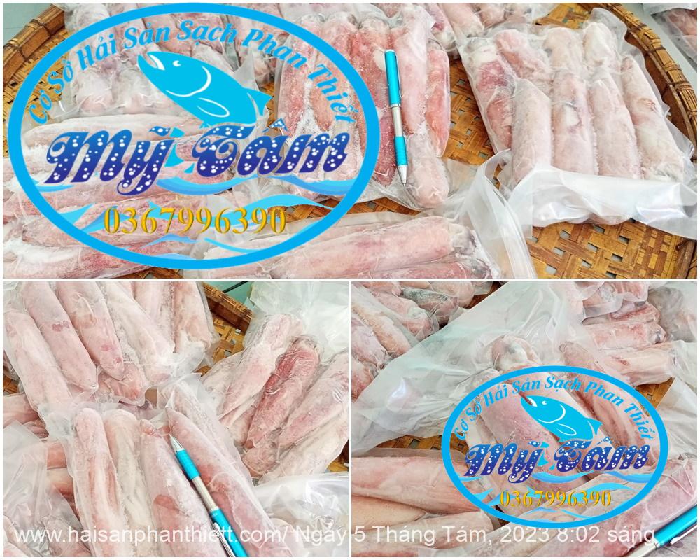 Muc Ong Tuoi Size 8 10 Con Kg Muc Ong Tuoi Size 8 10 Con Kg