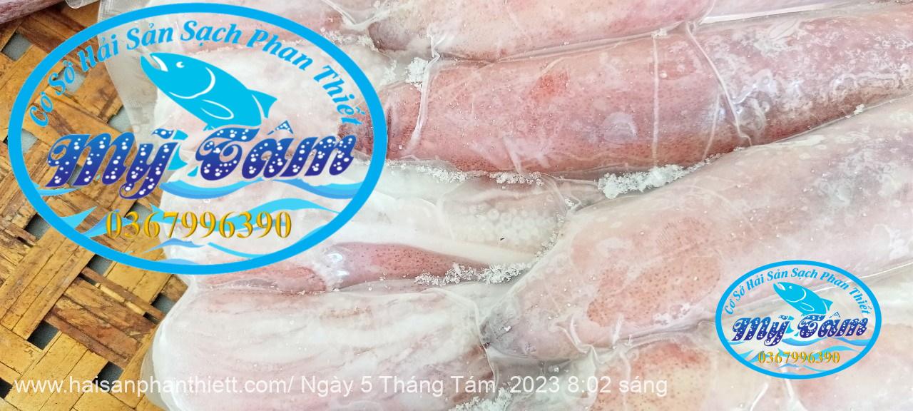 Muc Ong Tuoi Size 8 10 Con Kg Muc Ong Tuoi Size 8 10 Con Kg