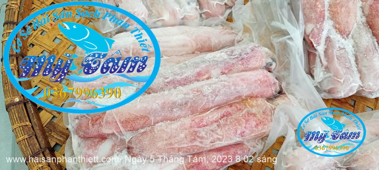 Muc Ong Tuoi Size 8 10 Con Kg Muc Ong Tuoi Size 8 10 Con Kg